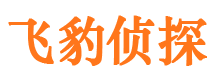 南溪市侦探公司